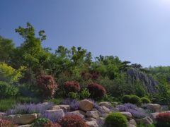 -羊亭河湿地公园