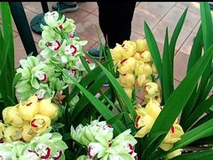 -国家植物园南园