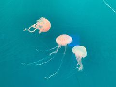 -多彩贵州城极地海洋世界