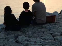 -合肥滨湖国家森林公园