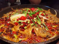 -老板恋上鱼(高新万达店)