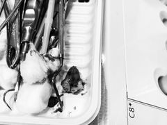 -浙江大学医学院附属第一医院(庆春院区)