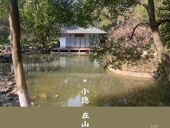 -新洲生态园