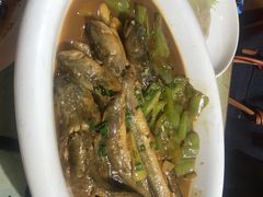 胖头鱼炖尖椒-19°c海鲜烧烤大排档