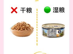 -守诺宠物医院·眼科· 特色牙科·异宠专科(虹口店)