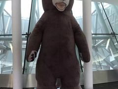 -济州岛泰迪熊博物馆