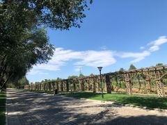 -北京张裕爱斐堡酒庄