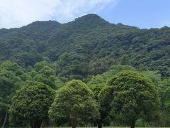 -五泄景区