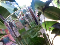 -Sirena海妖日咖夜酒