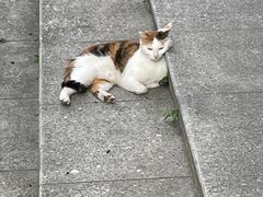 -江南大学(蠡湖校区)