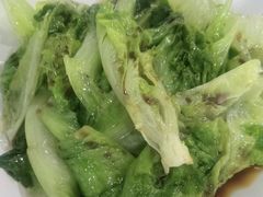 -东鸽皇(奥园·中环广场店)