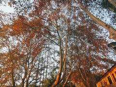 -T80科技文化国际社区-停车场