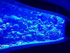 -太平洋海底世界