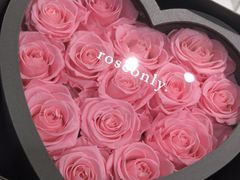 -ROSEONLY诺誓(沈阳万象城店)