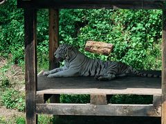 -石家庄市动物园