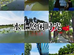 -洪湖生态旅游区