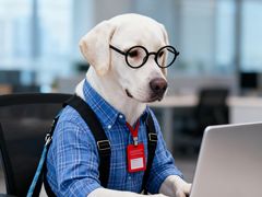 -翊宠yipet猫狗购宠庄园犬舍•猫舍