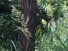 -碓臼峪自然风景区