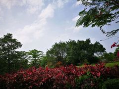 -白沙门生态公园