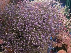 -花木兰花艺MULAN(温馨花园店)