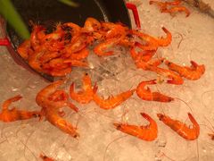 -食光全日制餐厅(绵阳首开喜来登酒店)