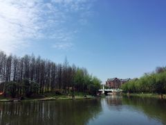 -新江湾城公园