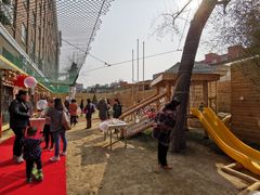 -世纪飞马幼儿园(西城校区)
