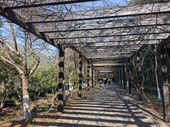 -九龙潭景区