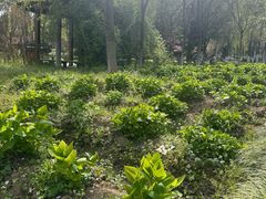 -江南大学(蠡湖校区)