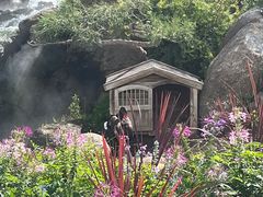 -罗红摄影艺术馆