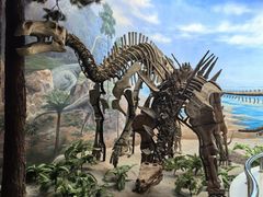 -延庆地质公园博物馆