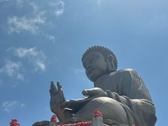 -龙口南山旅游景区