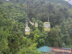 -黔灵山公园