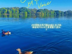 -西湖游船