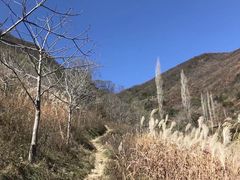 -秦岭风景区