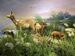 -湖南省地质博物馆