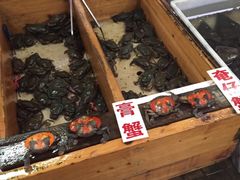 -大湾区中央湿地公园-十九涌
