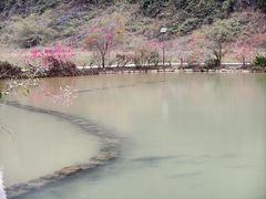 -靖西鹅泉风景区