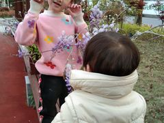 -学知乐教育·幼小衔接·小学科辅导(嘉定镇校区)