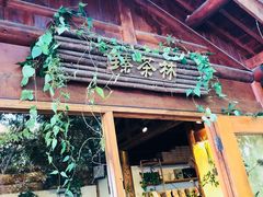 -天目湖山水园