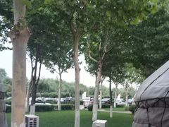 -九十九顶毡房(阜石路店)