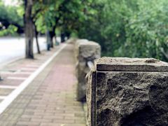 -南沙十九涌渔人码头-南门