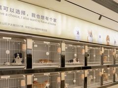 -翊宠yipet猫狗购宠庄园