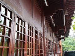 -铁山坪森林公园