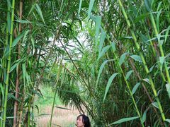 -白鹭湾湿地公园