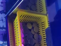 -阿尔法Game Station(中山路店)