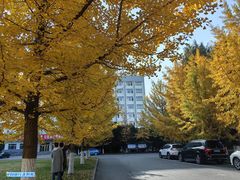 -辽东学院(南校区)