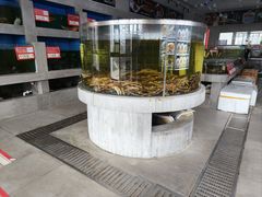 -粤盛海鲜楼(融冠乐城店)