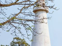 -中澳友谊花园