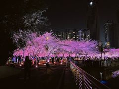 -西北湖绿化广场